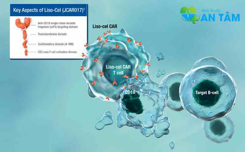 Thuốc Breyanzi là thuốc gì?