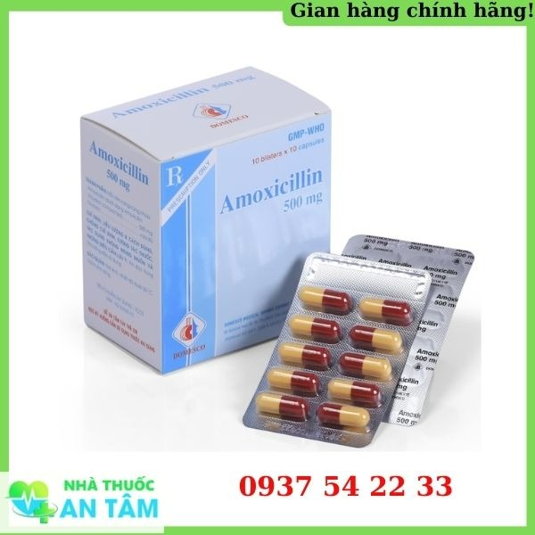 Thuốc Amoxicillin 500Mg Domesco điều trị nhiễm trùng Amoxicillin 500Mg Domesco điều trị các trường hợp nhiễm trùng