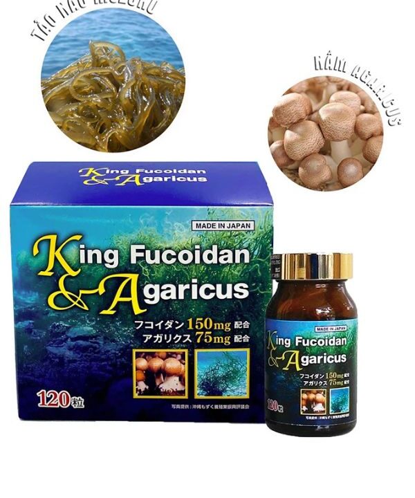 King fucoidan & agaricus thực phẩm hỗ trợ ung thư (3)