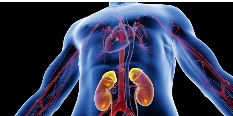 Những dấu hiệu và triệu chứng của thải ghép là gì?