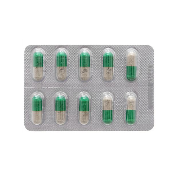 xuyen-tam-lien-fito-thanh-nhiet-4 Xuyên Tâm Liên Fito thanh nhiệt (4)