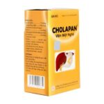 Viên mật nghệ Cholapan điều trị các chứng gan đau (1)