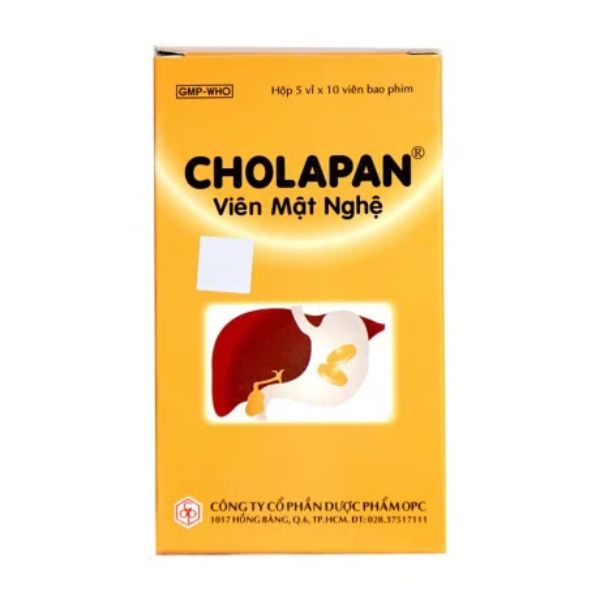 Viên mật nghệ Cholapan điều trị các chứng gan đau (2)