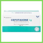 Thuốc Cefotaxone 1g điều trị các bệnh nhiễm khuẩn nặng (10 lọ) Bột pha tiêm Cefotaxone 1g Bidiphar điều trị các bệnh nhiễm khuẩn nặng