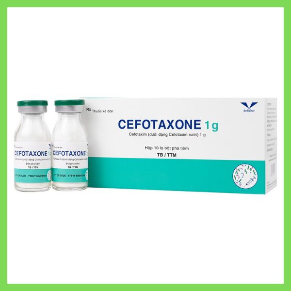 Bột pha tiêm Cefotaxone 1g Bidiphar điều trị các bệnh nhiễm khuẩn nặng (6)