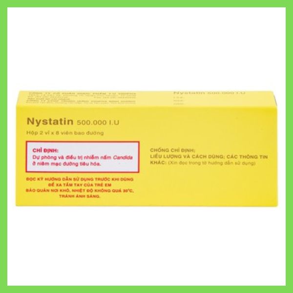 Thuốc Nystatin 500.000UI là thuốc gì? Công dụng và liều dùng 13 Thuốc Nystatin 500.000I.U Vidipha dự phòng và điều trị nhiễm nấm Candida (6)