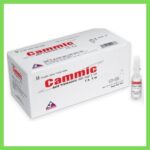 Thuốc Cammic 500mg/5ml điều trị và phòng ngừa chảy máu (10 vỉ x 5 ống) Thuốc tiêm Cammic 500mg/5ml điều trị và phòng ngừa chảy máu