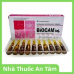 Thuốc Biocam Inj 20mg/ml điều trị đau do viêm khớp Thuốc tiêm Biocam Inj 20mg/ml điều trị đau do viêm khớp