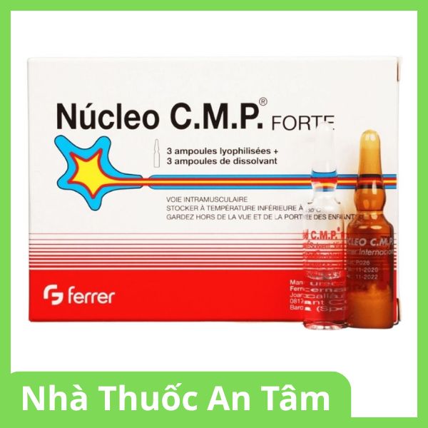 Bột pha tiêm Núcleo C.M.P Forte Ferrer điều trị bệnh về thần kinh ngoại biên